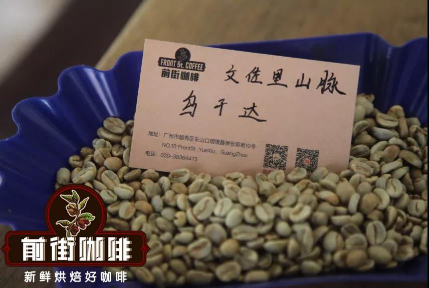 SL14 and SL28 coffee beans
