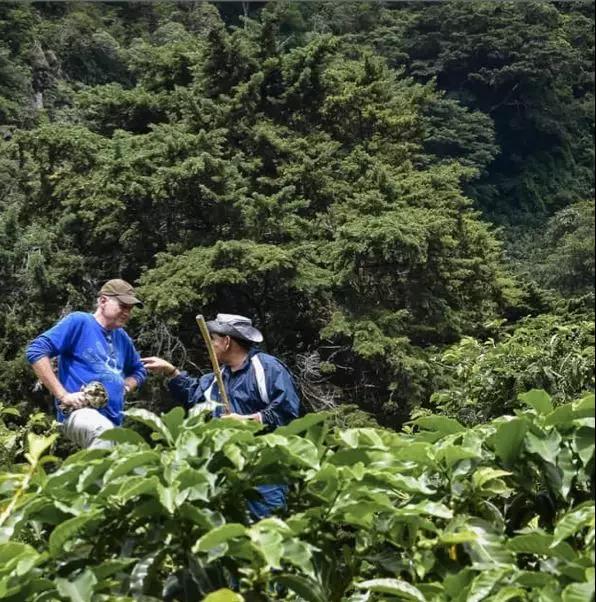 Boquete highland landscape