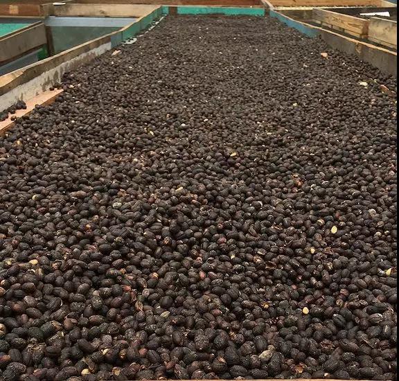 Anaerobic fermentation process