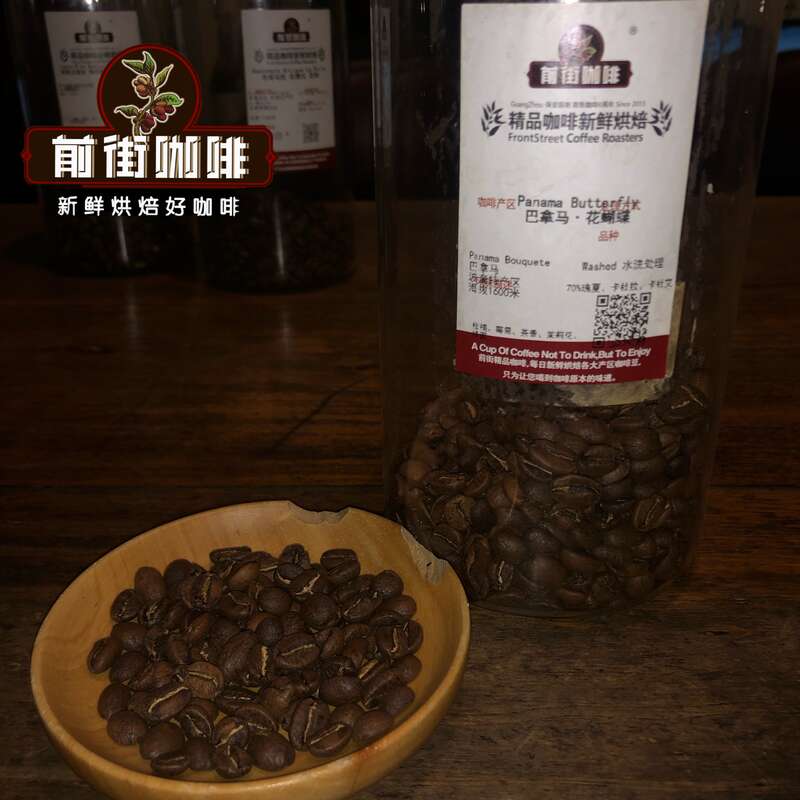 FrontStreet Coffee Panama Butterfly