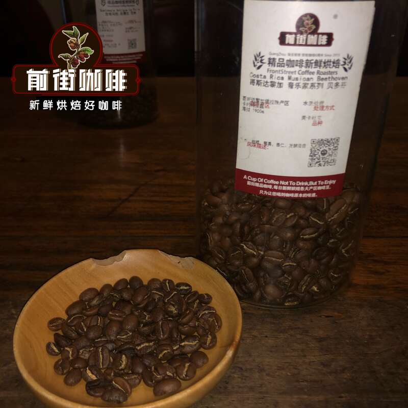 FrontStreet Coffee Costa Rica Beethoven