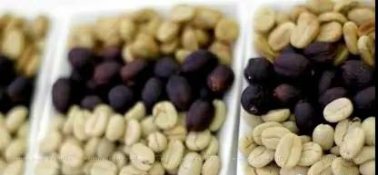 FrontStreet Coffee Costa Rica La Candelilla Geisha