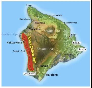 Coffee Pest Damage in Hawaii