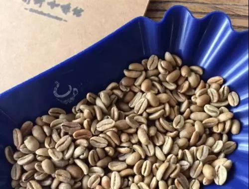 Geisha coffee beans comparison