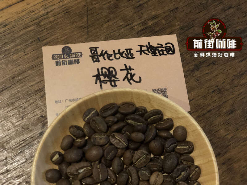 Sakura coffee beans