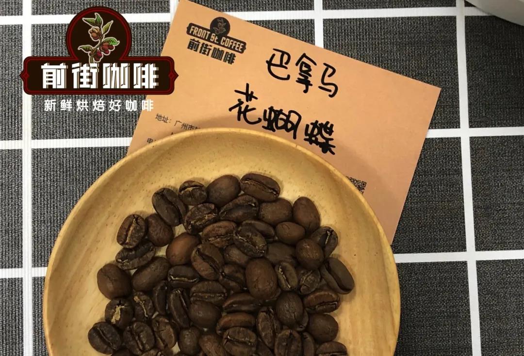 Is Geisha Blend Coffee a Single-Origin Bean? Introduction to Mariposa and Mirasou Geisha Blends