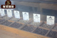 Brewing Guide for Costa Rica Finca Phoenix Coffee Beans - Flavor Characteristics of Natural Process Coffee