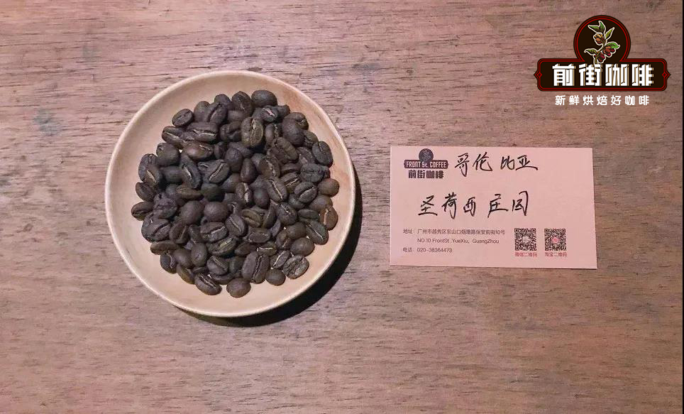 Colombia Finca San Jose Estate Oak Barrel Fermentation Processing Coffee Flavor and Taste Characteristics Description