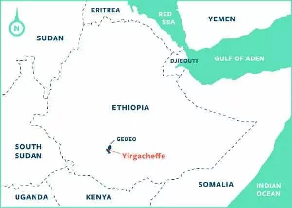 Yirgacheffe Coffee Beans