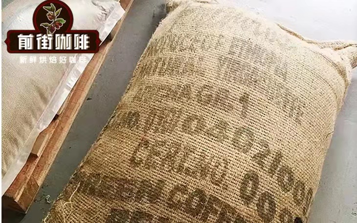 Adorsi Processing Station