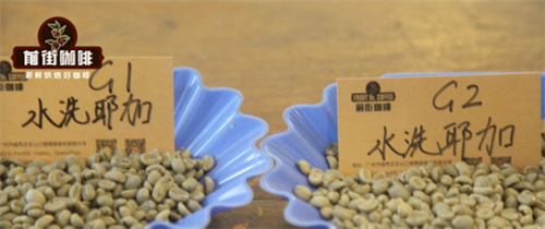 Coffee beans comparison