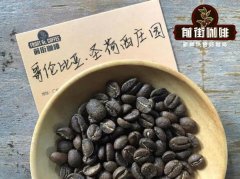 Rum Barrel Fermented Coffee from San José Estate: The Origin of Barrel Fermentation Processing