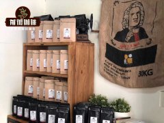 Nicaragua Coffee Region Java Beans - Lemon Tree Estate Java Nicaragua Coffee Beans Brewing Flavor