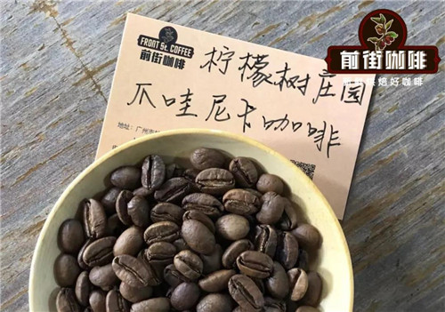 FrontStreet Coffee Java Nica Coffee Beans