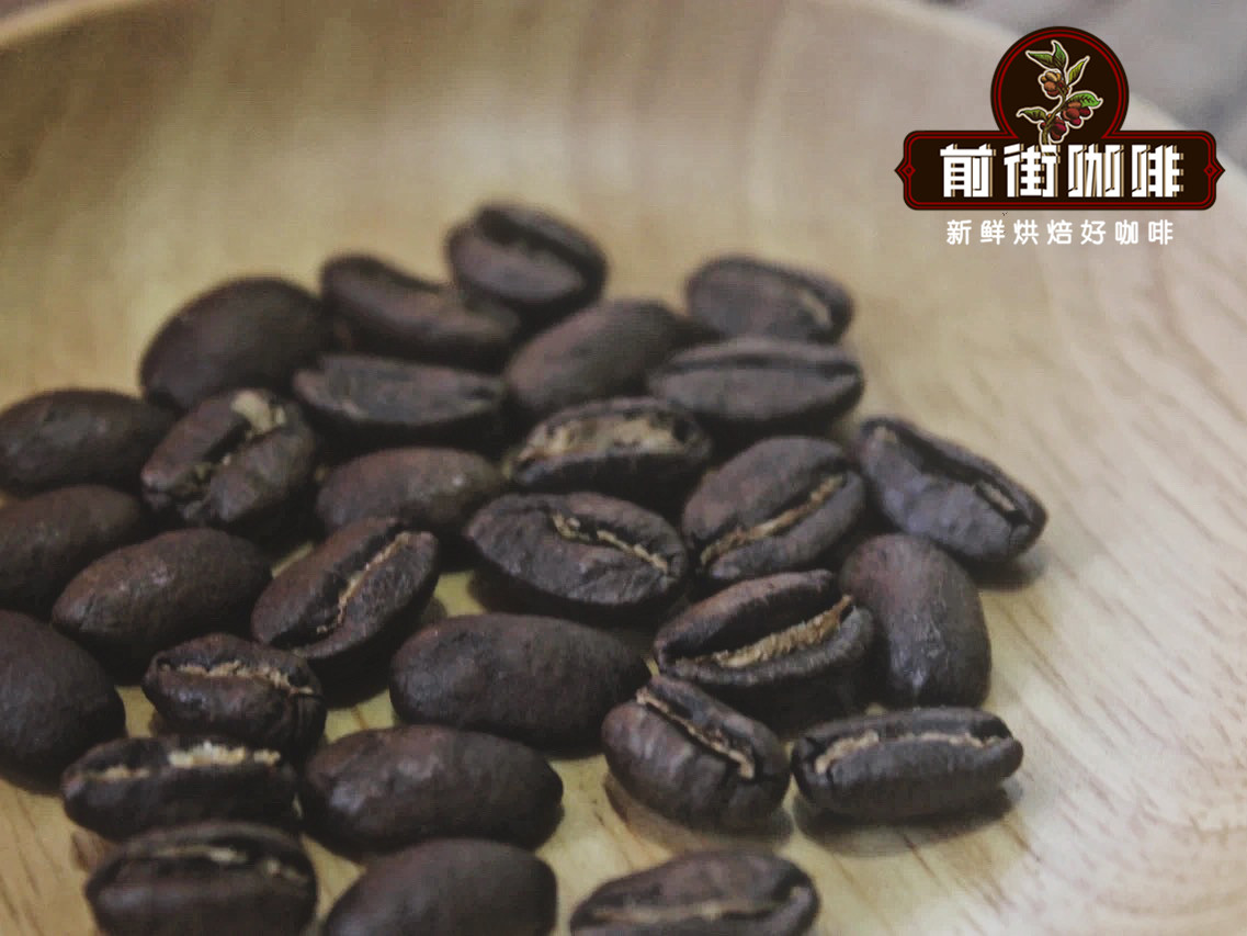 El Paraíso Region Coffee