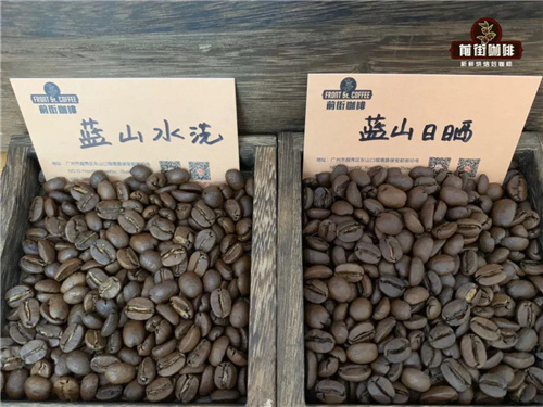 Coffee bean size comparison