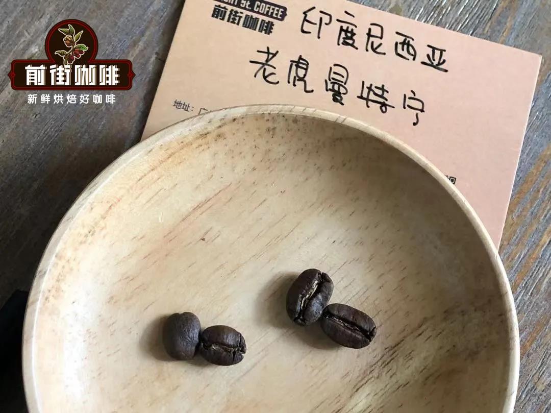 Typica and Caturra coffee beans