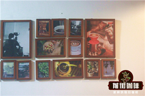 Coffee beans and brewing equipment