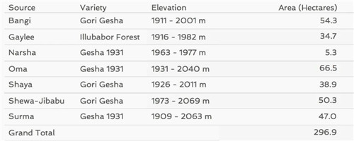 Gesha Village Green Label