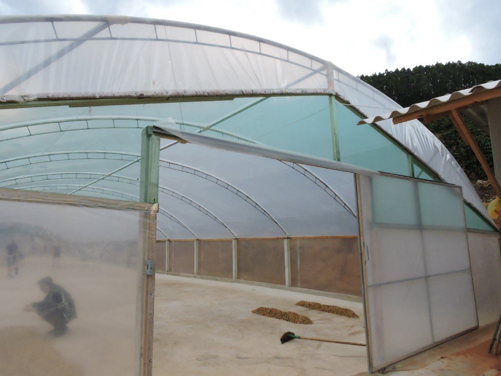 Semi-washed Coffee Processing