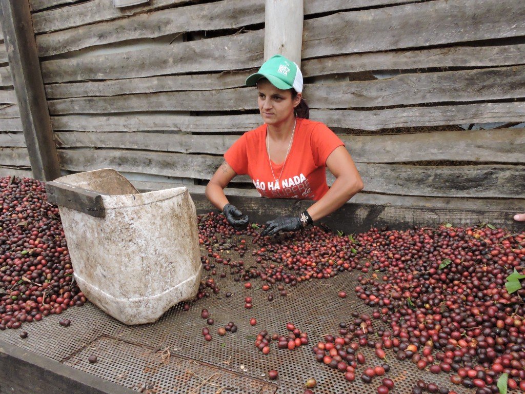 Natural Coffee Processing