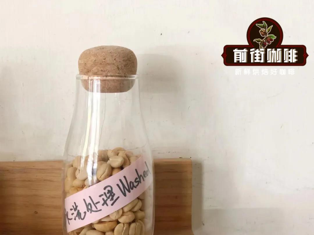 Washed coffee processing