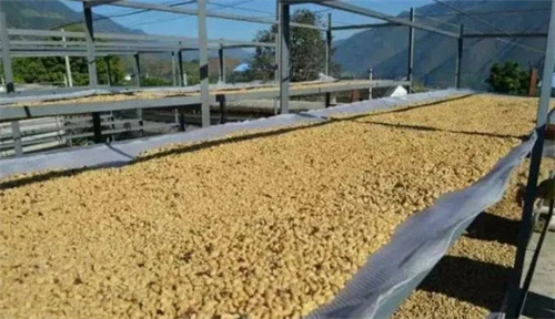 Natural drying process