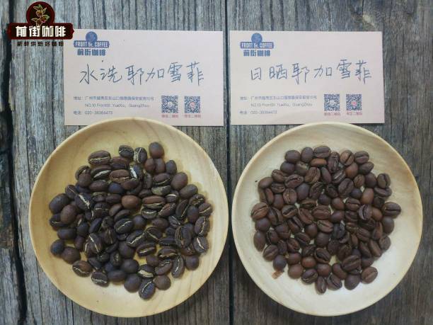 Washed coffee processing