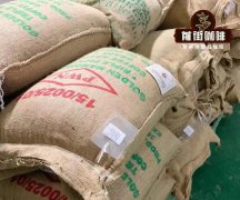 Why Do Coffee Beans Develop Oily Residue? PWN Golden Mandheling Coffee Beans Develop Oil Due to Medium-Dark Roasting