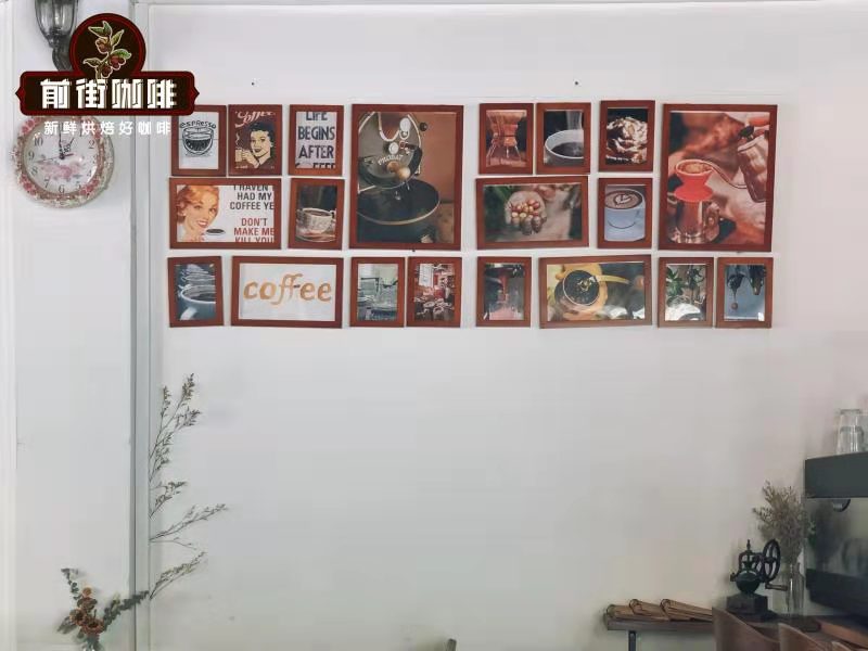 Sidamo Coffee Bean Characteristics and Flavor Profile | Guji Kello Coffee Bean Pour-Over Method and Tasting Notes