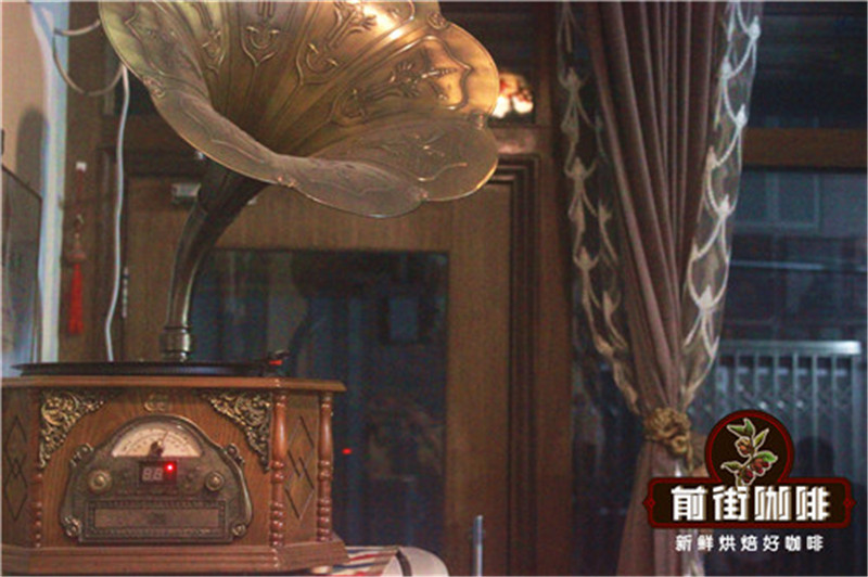 Honduras coffee farm workers harvesting coffee cherries