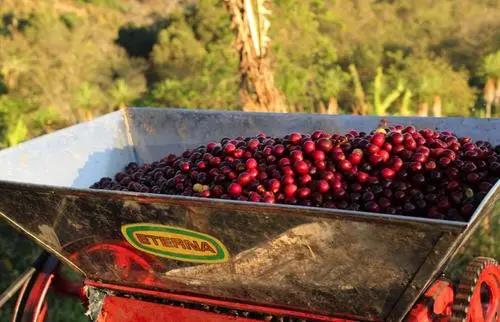 San Vicente processing plant facilities