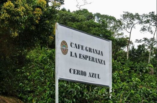 La Esperanza coffee farm landscape