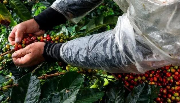 COVID-19 testing site