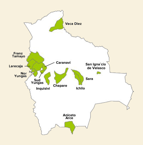 Yungas Province landscape