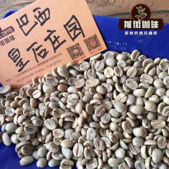 Coffee drying process