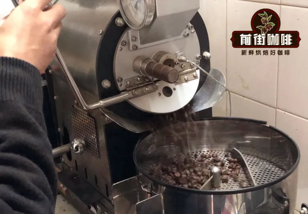 Coffee blender examining different coffee beans for blending