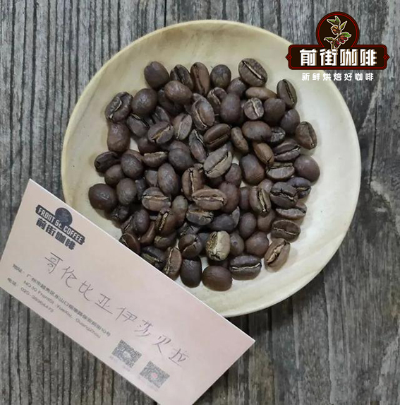 Colombian coffee varieties