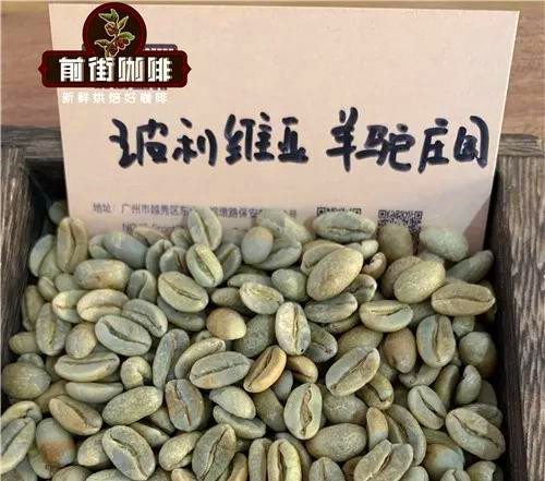 Java Coffee Beans Comparison