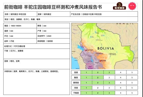 Coffee Cupping Session