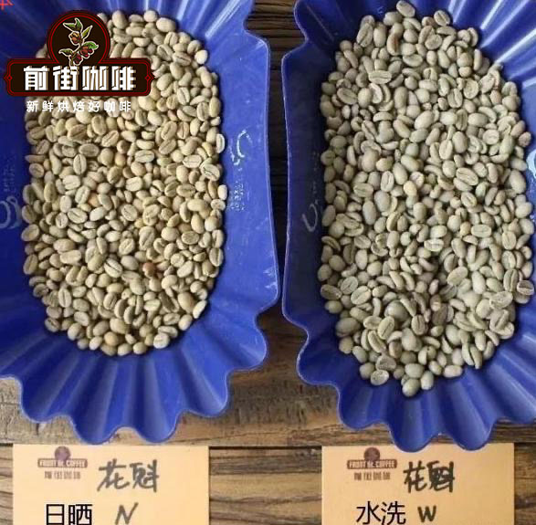 Drying beds for washed coffee beans