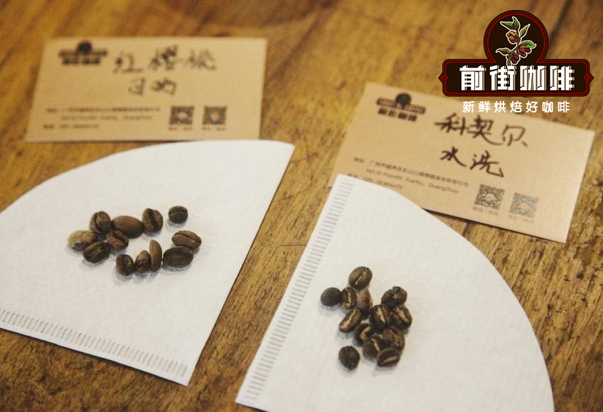 Roasted Coffee Beans Comparison