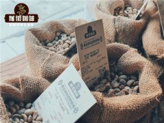 Global Coffee Market May Face Supply-Demand Imbalance in 2021, Coffee Prices Unlikely to Rise Further!