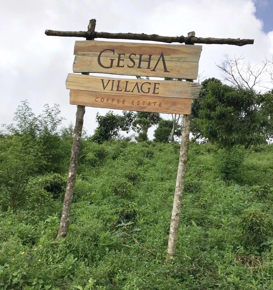Geisha Village farm layout