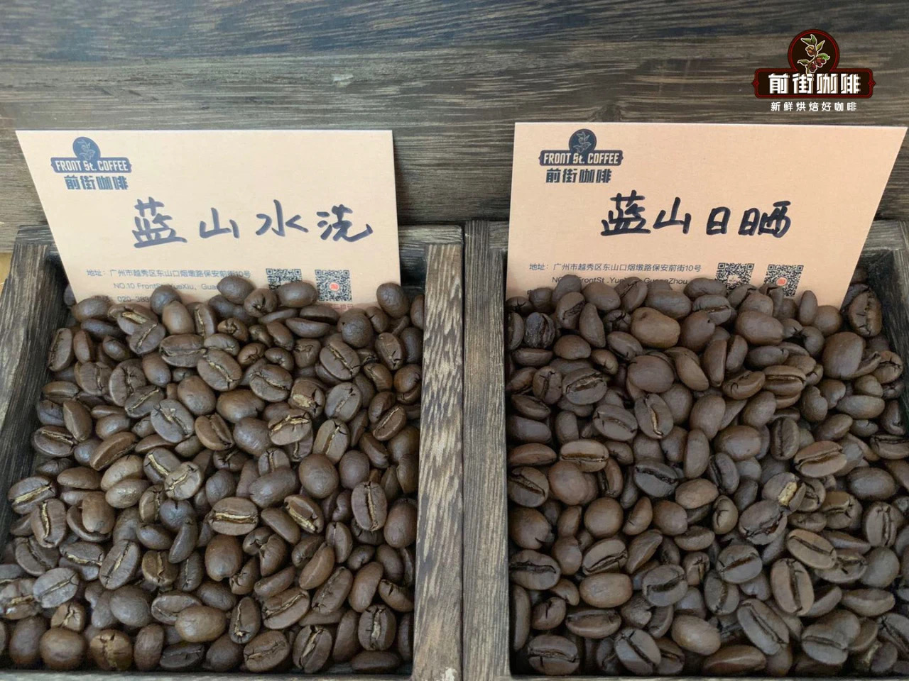 Premium coffee beans from different regions