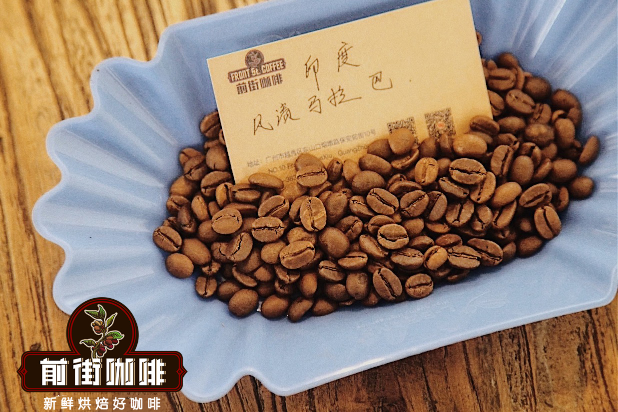 Monsooned Malabar beans