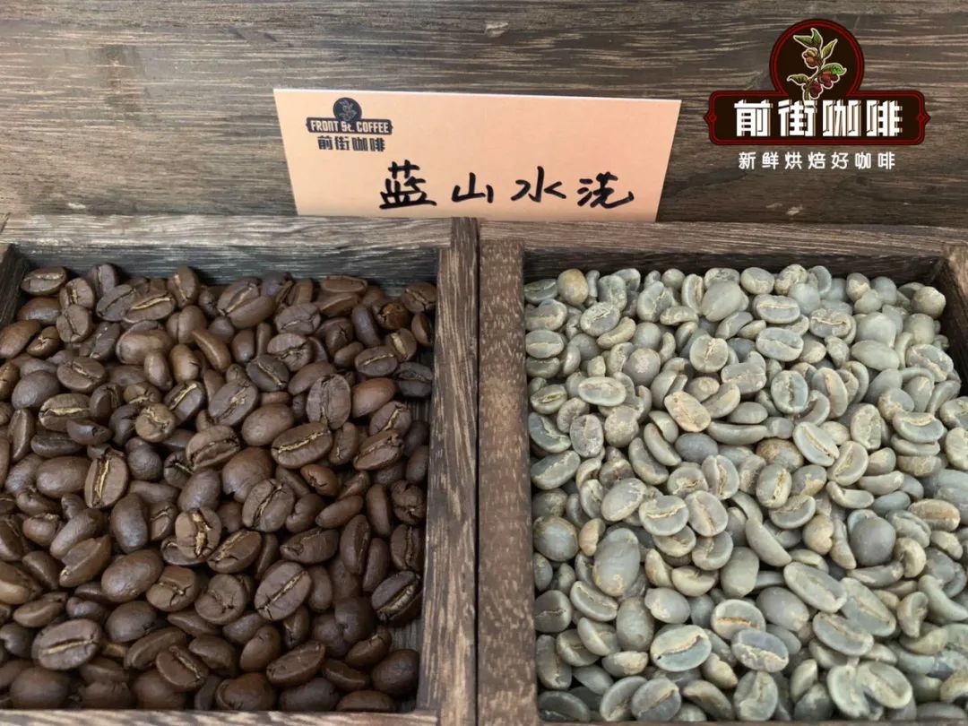 Blue Mountain Coffee Beans