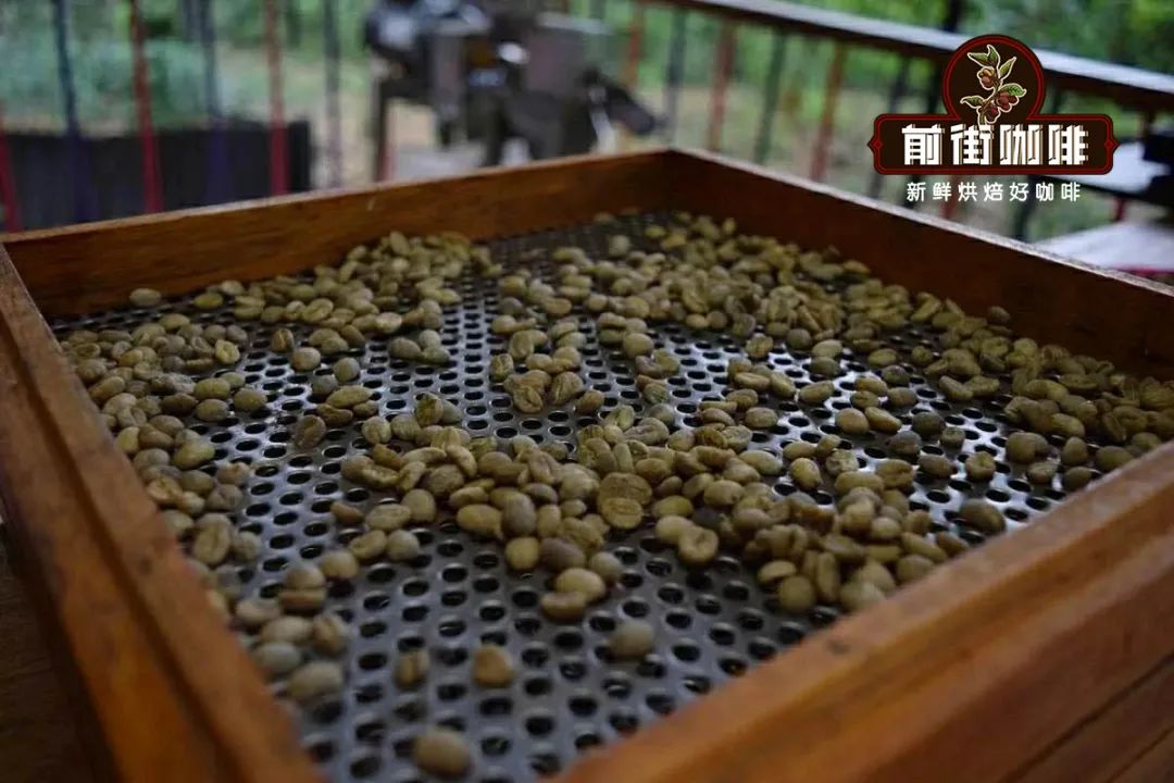 Coffee cupping evaluation