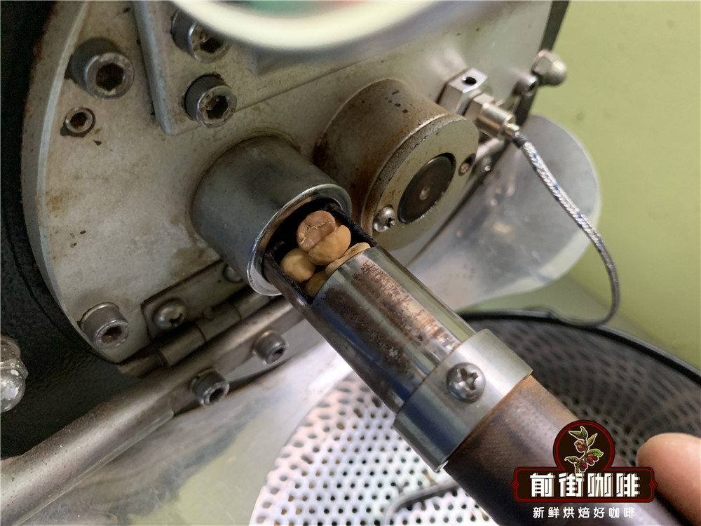 Different roast levels of coffee beans