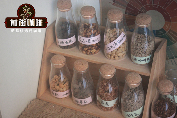 What are the Flavor Differences Between Natural, Washed, Semi-Washed, and Honey Processed Coffee Beans?